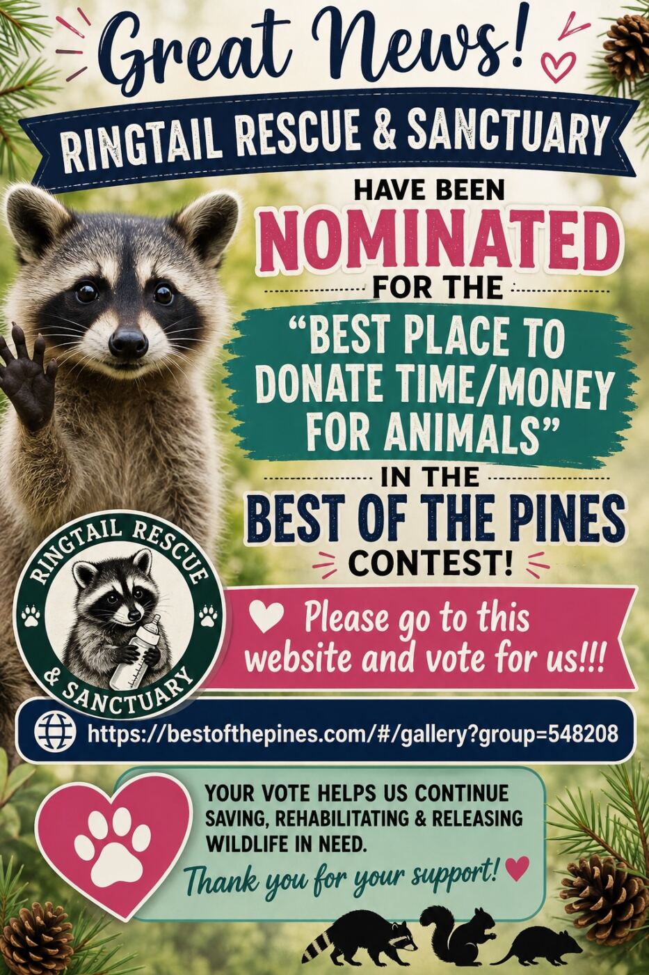 Ringtail Rescue Best of the Pines
