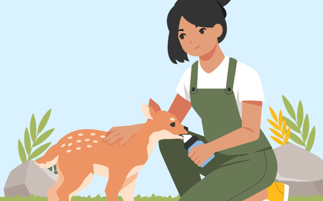 Chronic Wasting Disease in North Carolina and Its Impact on Fawn Rehabilitation