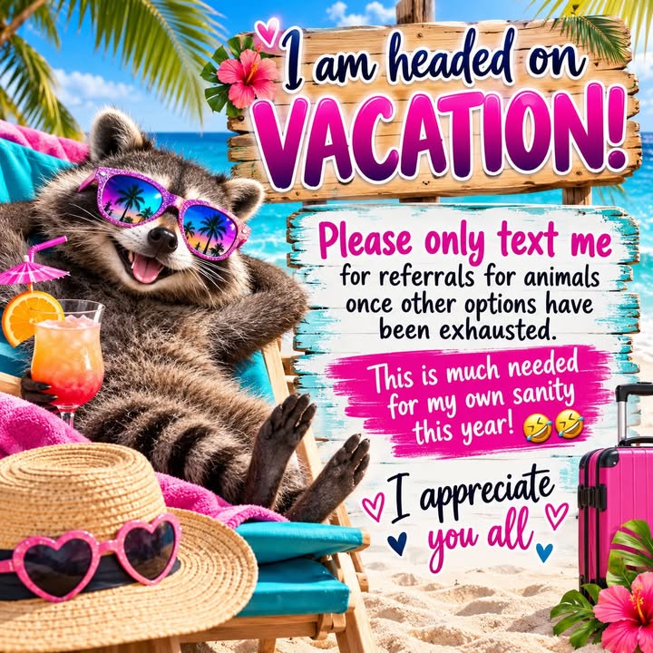 Ringtail Rescue & Sanctuary